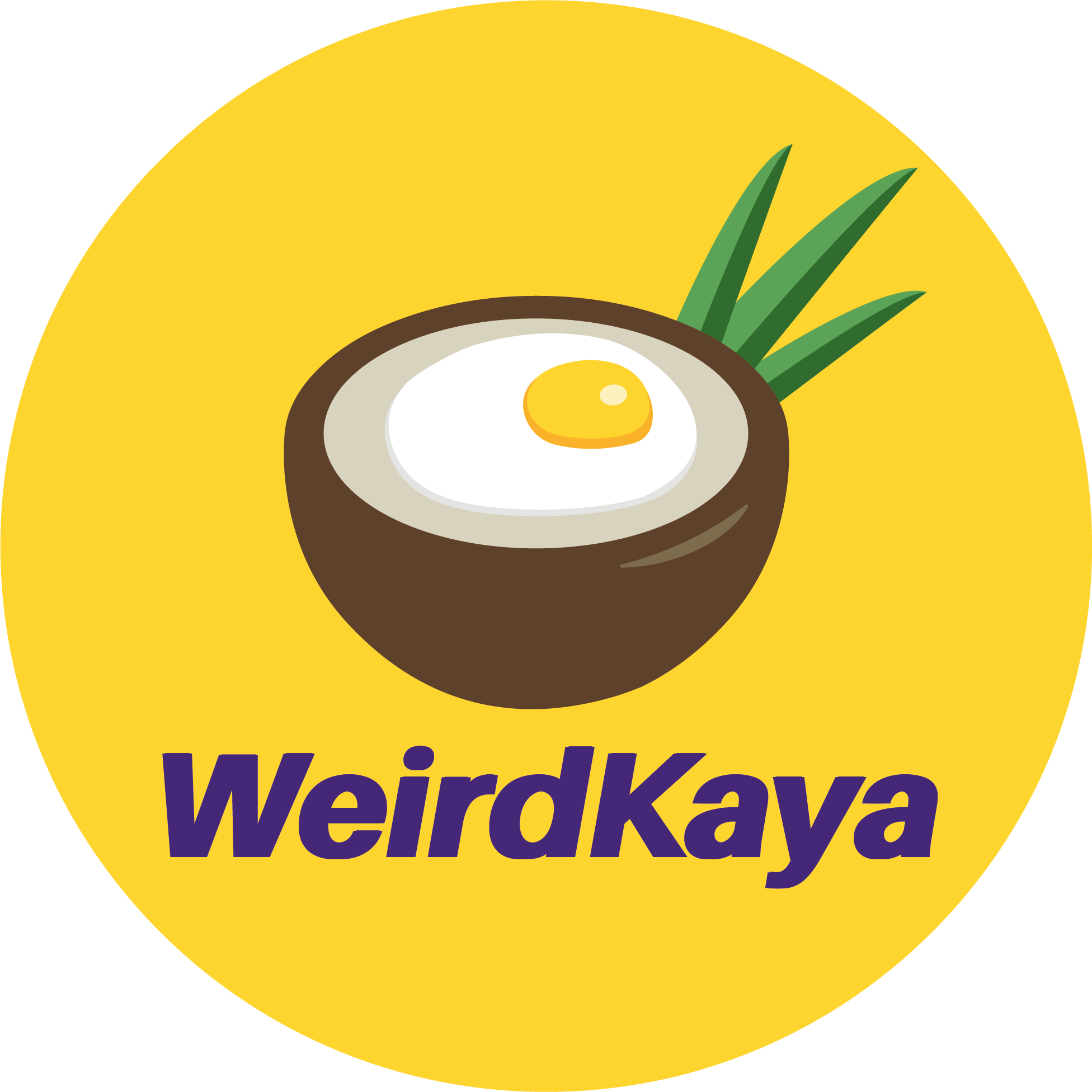WeirdKaya | Infinitly Digital Solutions and Consultancy