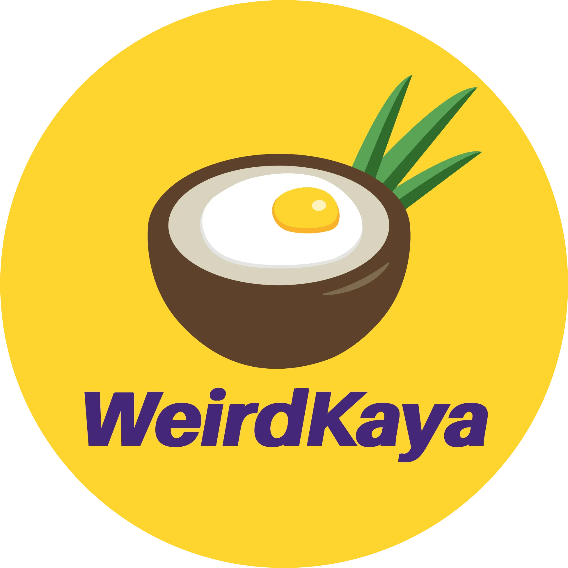 WeirdKaya | Infinitly Digital Solutions and Consultancy